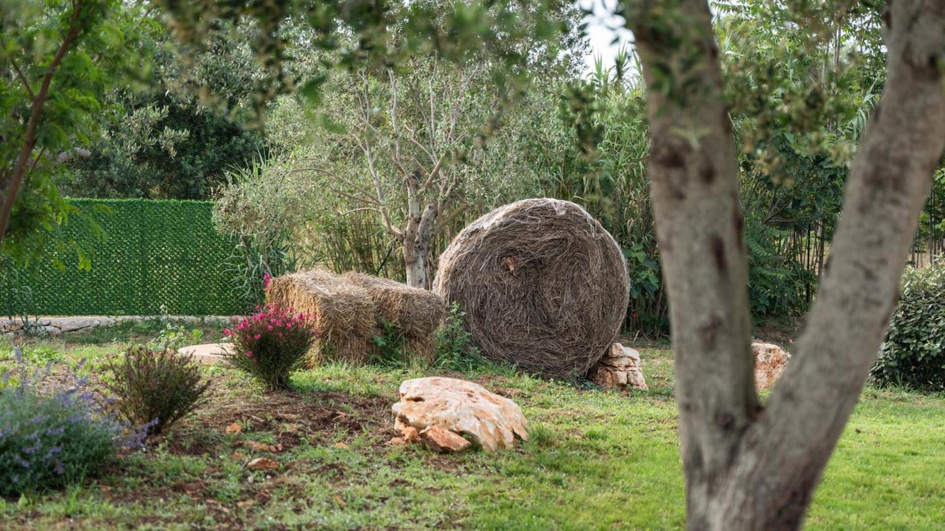 Petranima Wellness In Trulli Frühstückspension *